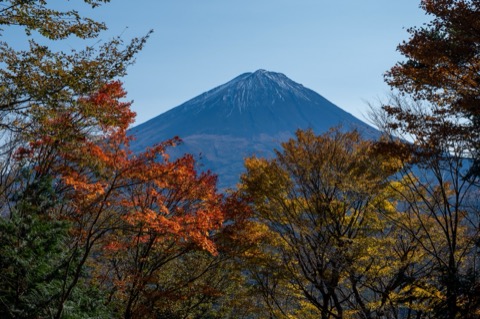 紅葉的畫框裡，富士山靜靜浮現（山梨縣）