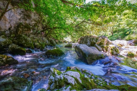 岐阜縣円原川的靜謐流光（岐阜縣）