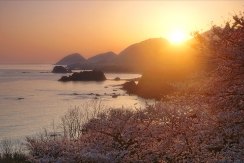 京都 丹後松島 春日早晨的列島（京都府）