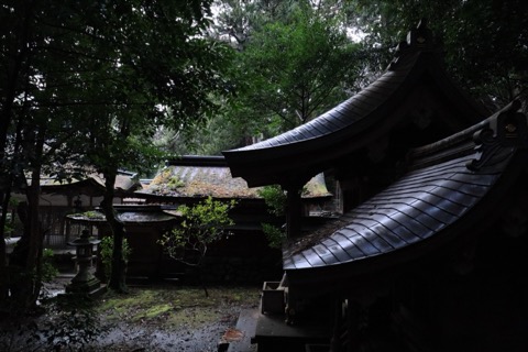 滋賀油日神社的靜謐時刻（滋賀縣）