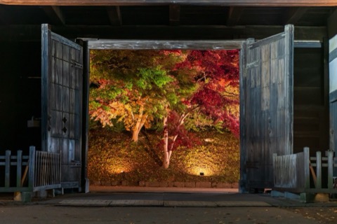 青森弘前公園的楓葉景色（青森縣）