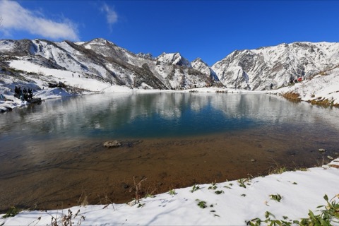 初雪降臨 長野八方池的晨間靜謐（雪景）