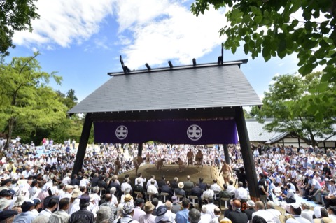 彌彦神社 相撲場