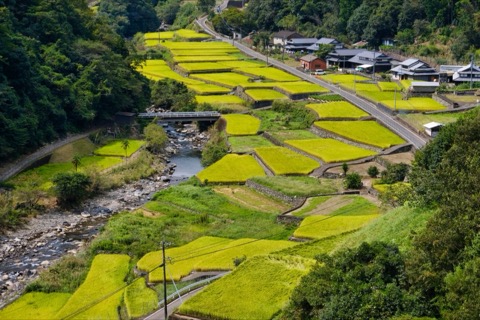 宮崎延岡　石上地區的棚田時光（宮崎縣）