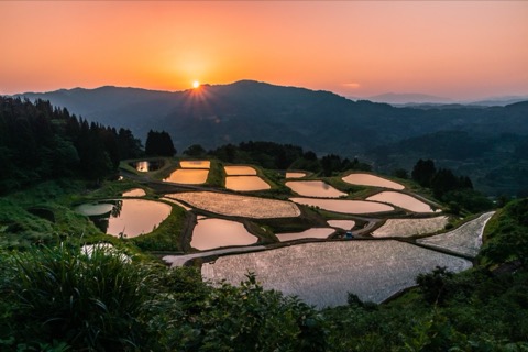 新潟 山古志梯田 插秧後的晨光水鏡（新潟縣）