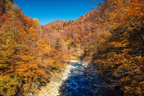 新潟秋山郷　狹谷四時風景（紅葉）
