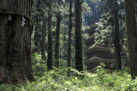 羽黒山の秘境