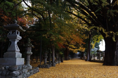 三重縣積田神社的靜謐時刻（三重縣）