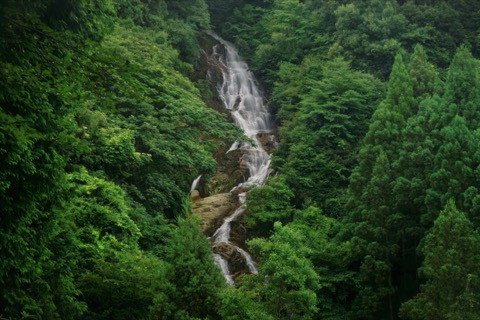 京都今福瀑布：七段疊水的靜謐風景（京都府）