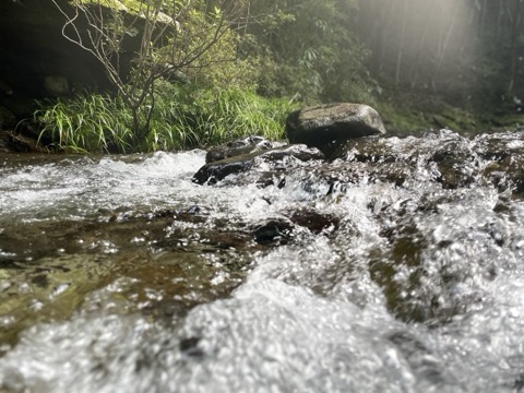 靜岡夏日河畔 與家人的光影時刻（靜岡縣）