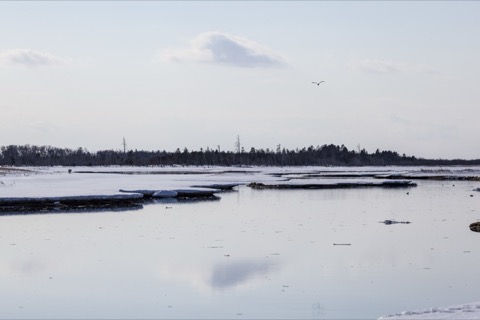 北海道春國岱：沙洲上的靜謐風景