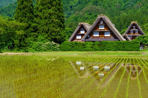 白川郷的寂靜村落——攝影師SHori鏡頭下的岐阜風景（岐阜縣）