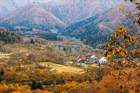 新潟秋色｜銀山平的楓紅靜謐時刻（紅葉）