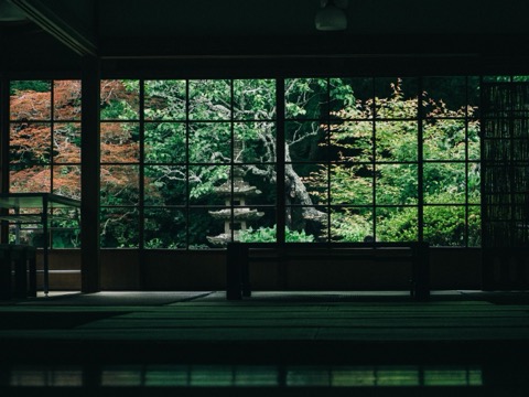 鎌倉淨智寺 隔著玻璃的寧靜（神奈川縣）