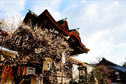 京都北野天滿宮三光門 梅花綻放的文化瑰寶（京都府）