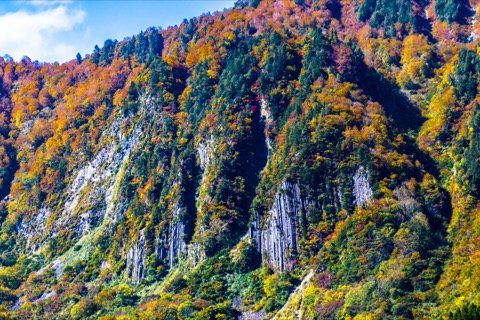 柱狀節理與秋色——長野栄村屋敷山的岩與葉（長野縣）