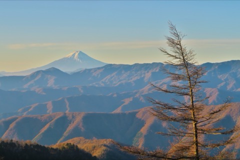 從雲取山眺望富士山（東京都）