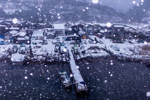 新潟冬日漁港 春訊在雪裡悄悄萌芽（新潟縣）