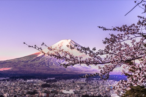 山梨縣新倉山淺間公園 春日的高處眺望（山梨縣）