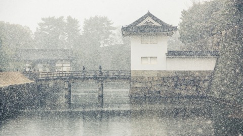 京都二條城的靜謐時刻（京都府）