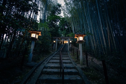 日暮燈火·奈良久延彥神社的靜謐時刻（奈良縣）