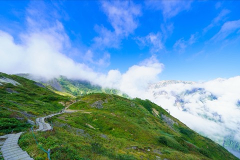 長野八方尾根自然研究路的靜謐風景（長野縣）