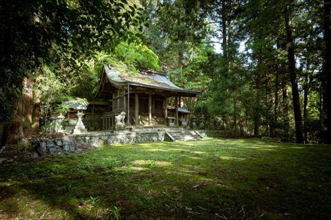 兩百階石段的終點 奈良飛鳥川上的靜謐神社（奈良縣）