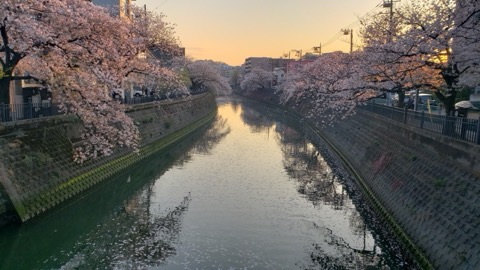 橫濱日常 超市歸家路上的小確幸（神奈川縣）