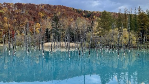 北海道白金青池，靜謐的藍色世界（Yuto 攝）