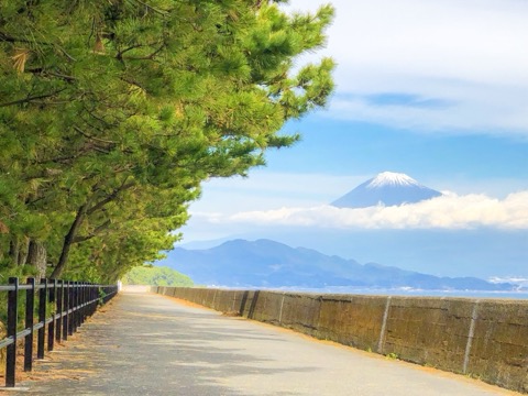 靜岡三保松林與富士山的雙重奏（靜岡縣）
