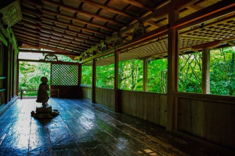 京都高山寺的夏日靜謐 蟬鳴聲中的片刻（京都府）