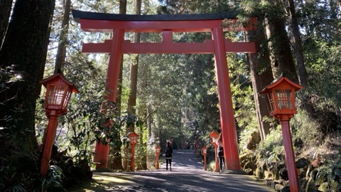 箱根神社参道