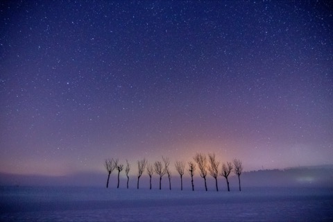 新潟 小千谷稻架木 雪夜星空（新潟縣）