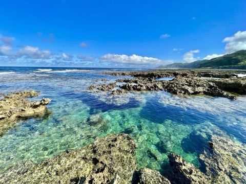 久米島潮間帶 岩礁上的自然水族館（沖繩縣）
