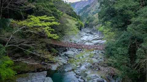 祖谷的葛藤橋——山間的古老通道（德島縣）