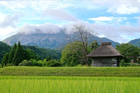 深山古屋見證時光 鳥取縣御機茅葺小屋（鳥取縣）