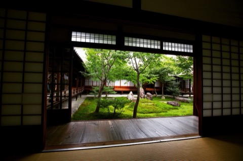 京都建仁寺的青紅葉 每次造訪都能尋得片刻寧靜（京都府）