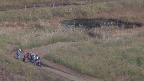 細野高原的靜謐水鄉——桃野濕原（靜岡縣）