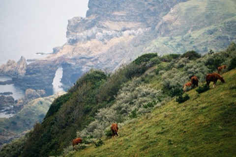 島根縣國賀海岸的崖壁絕景