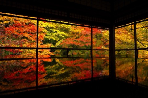 瑠璃光院：京都府的寧靜所在（京都府）