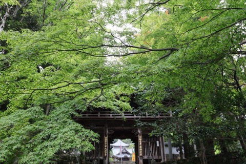 香川縣大窪寺的靜謐時刻（香川縣）
