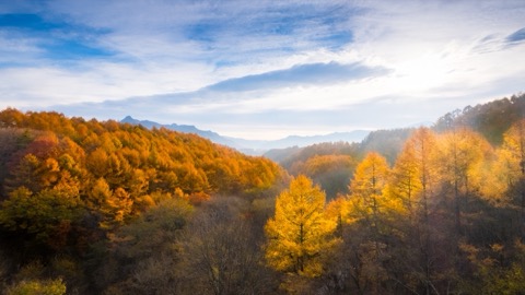 野邊山高原的秋色 長野八嶽東麓的紅葉季（長野縣）