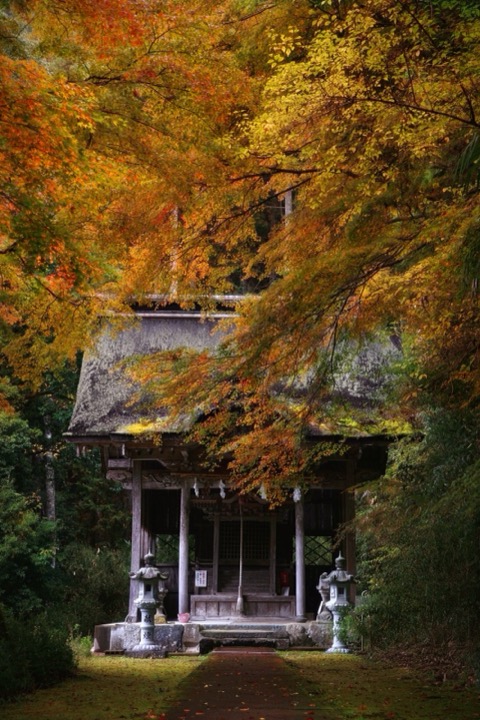 晩秋の火之神神社