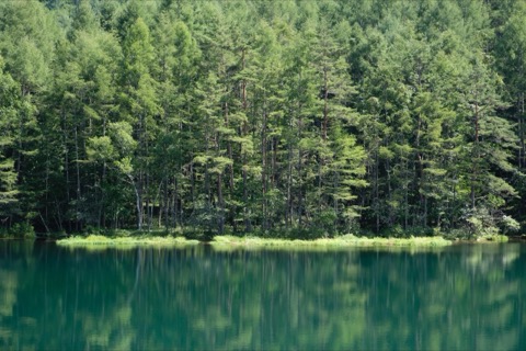 長野縣御射鹿池的靜謐風景（長野縣）