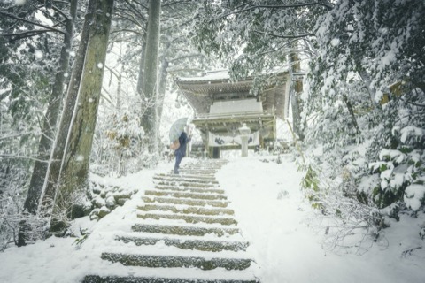 福井禪寺的雪林 靜謐中偶有訪客（福井縣）