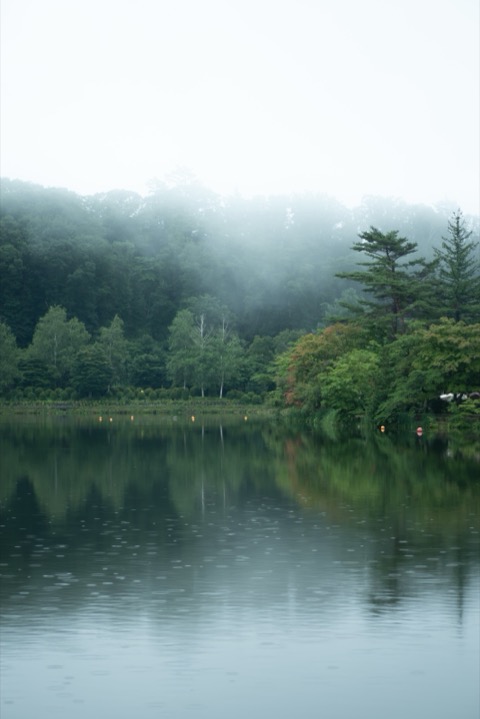 長野 梅雨的蓼科湖 細雨中的湖畔散步（長野縣）
