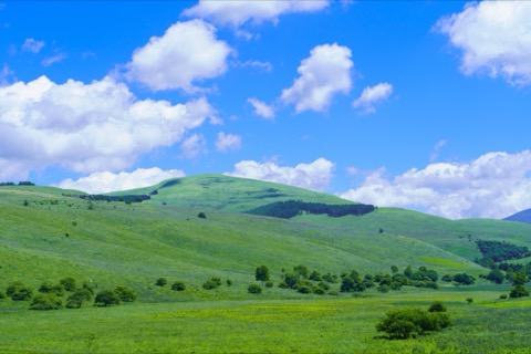 霧峰高原的靜謐時刻（長野縣）