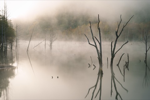 長野縣自然湖的靜謐風景（SHori 攝）
