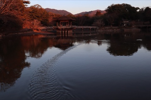 奈良浮見堂：水畔的靜謐身影（奈良縣）