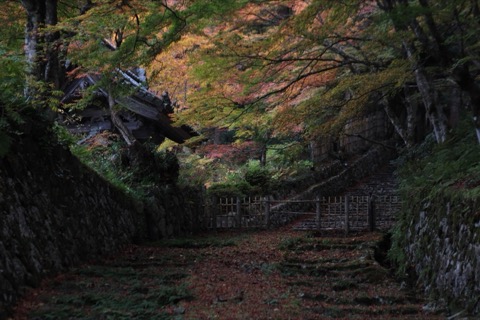 滋賀縣百済寺的靜謐佛寺風景（滋賀縣）